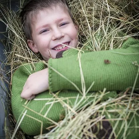 فيرين باويرنهوف ماوراشهوف