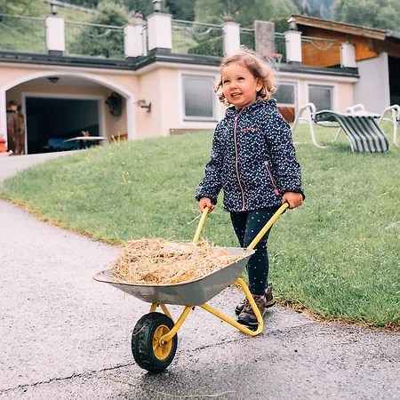 فيرين باويرنهوف ماوراشهوف *